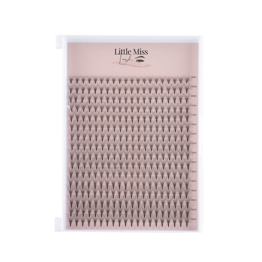 10D Pre-made Lash Trays