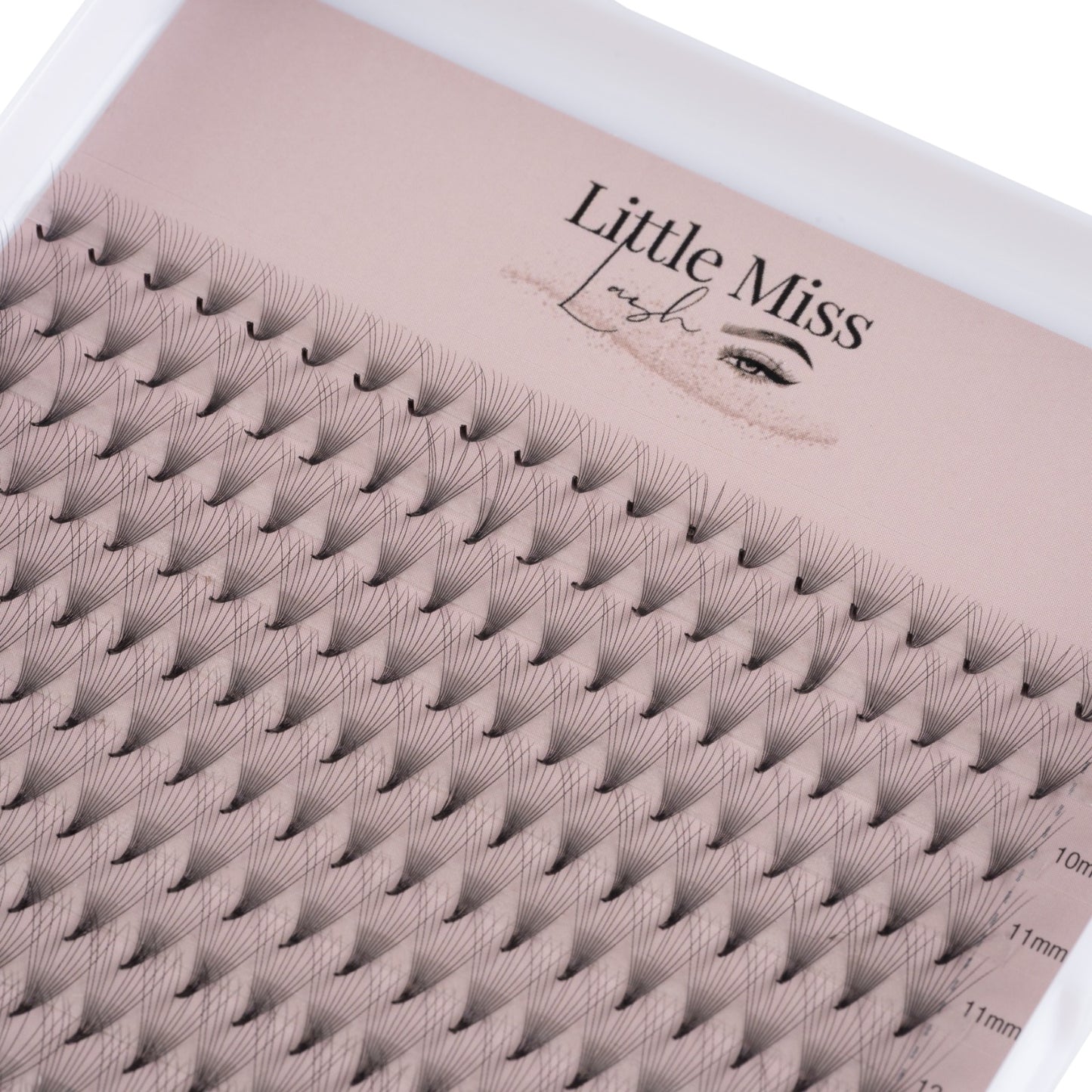 10D Pre-made Lash Trays