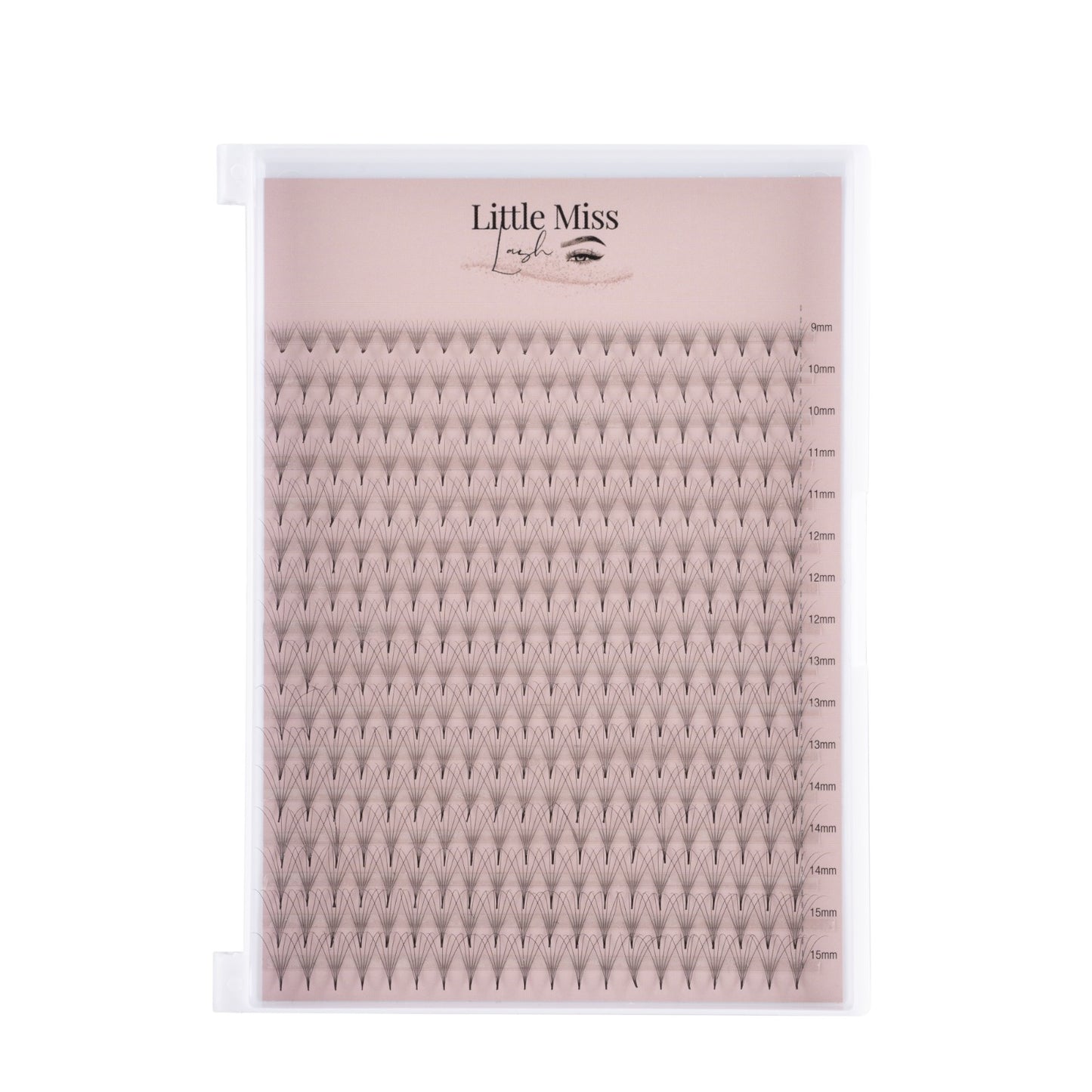 6D Pre-made Lash Trays