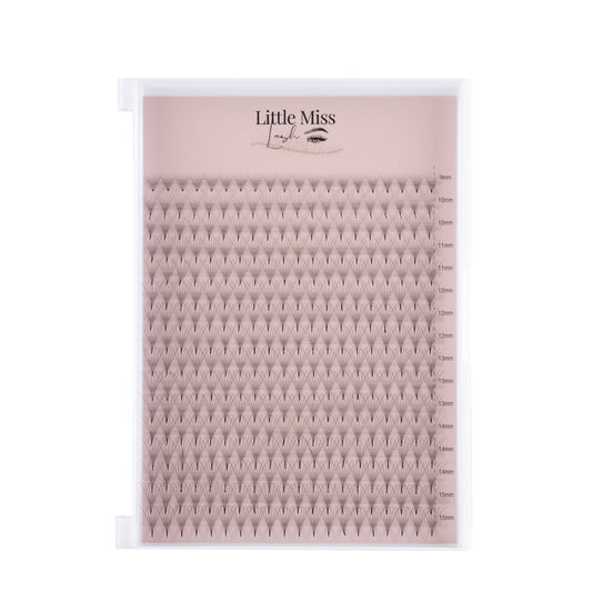 6D Pre-made Lash Trays